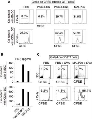 Type I Interferon-Independent Dendritic Cell Priming and Antitumor T Cell Activation Induced by a Mycoplasma fermentans Lipopeptide